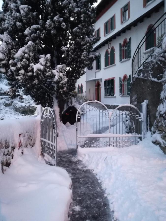 Garden Belvedere B&B Torbole Sul Garda Εξωτερικό φωτογραφία